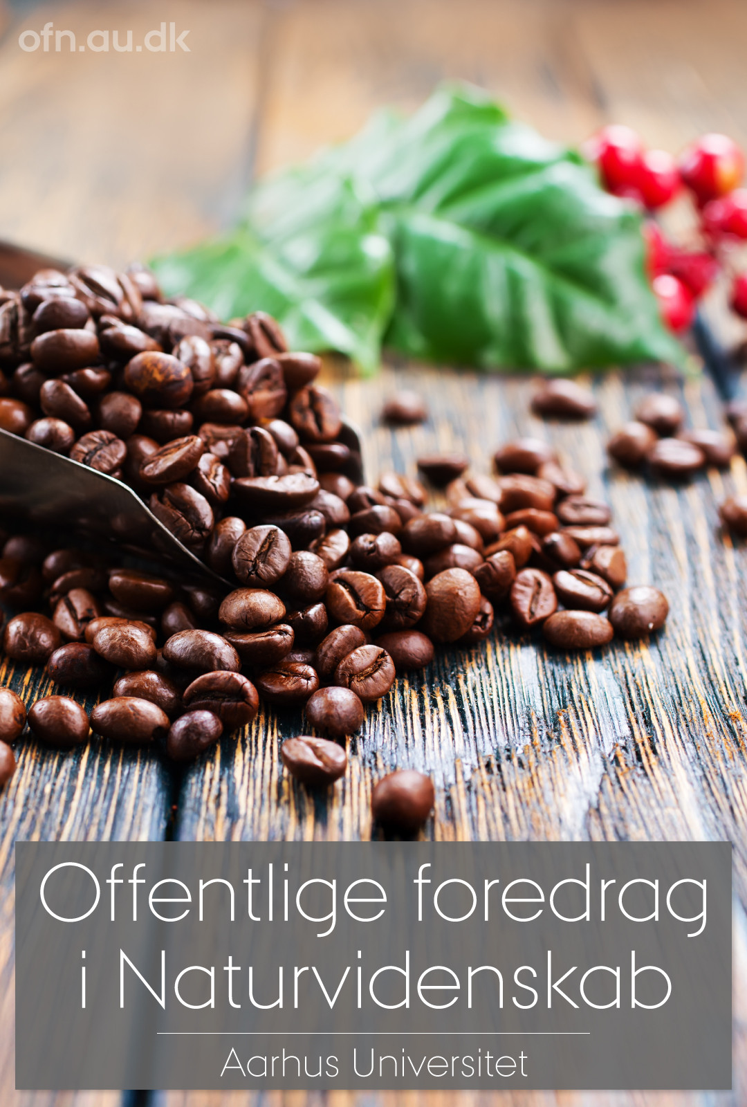 Foredrag: Kaffe